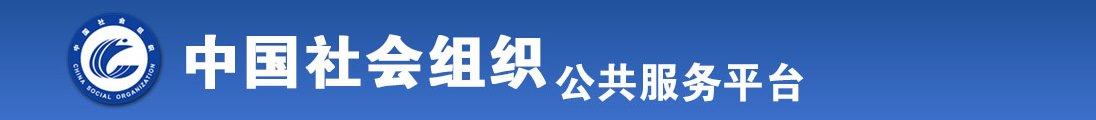 av操屄网全国社会组织信息查询